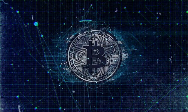 喵喵:数据分析探索猫咪选择的智慧